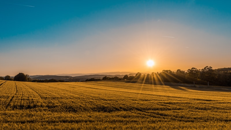 Rolling Texas countryside